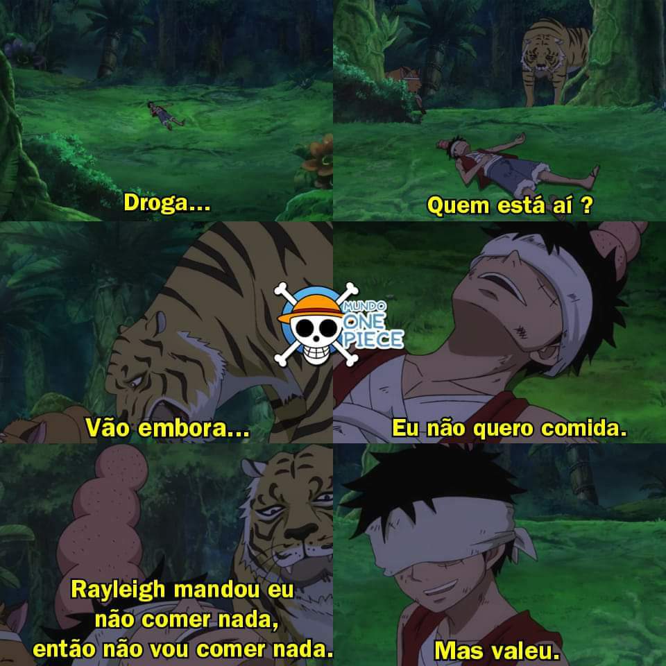 One Piece Brasil™ Amino