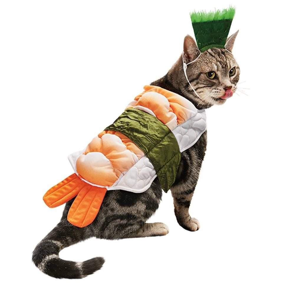 Коты в костюмах | Котейки 🐱😻🐈 Amino