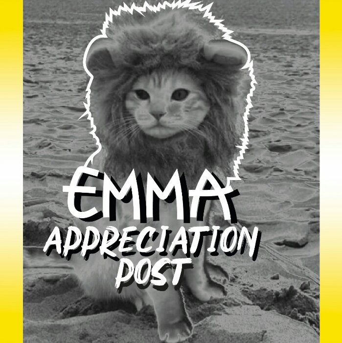 💛EMMA APPRECIATION POST💛 | Clique Amino