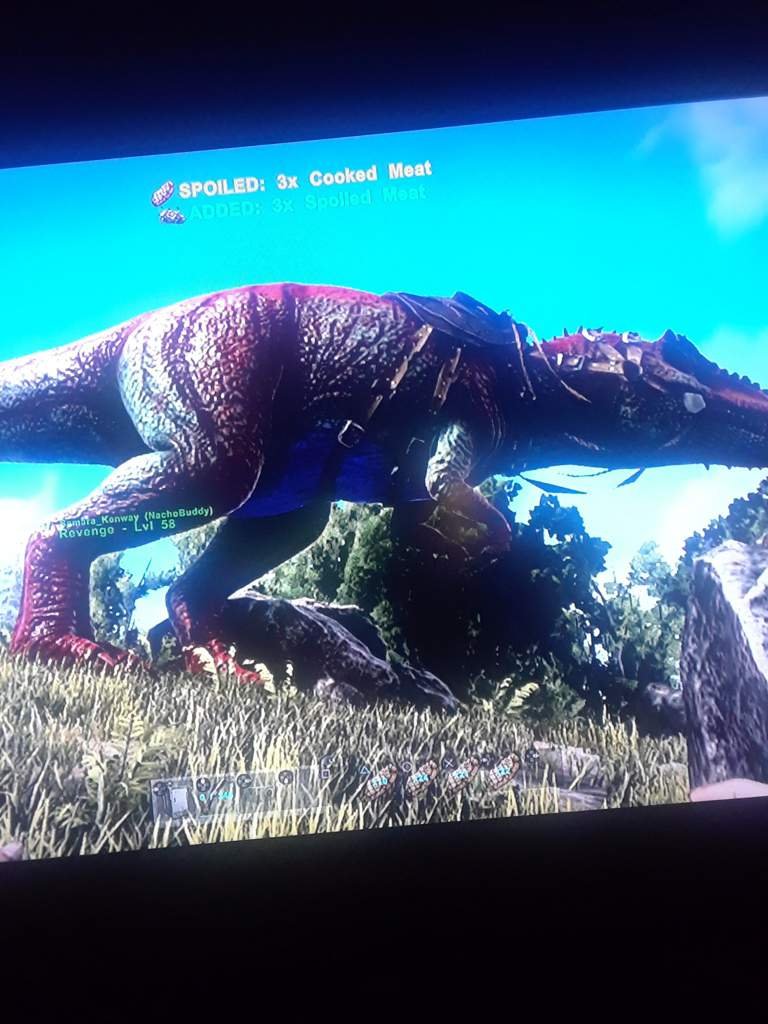 Colorful giga | Ark Survival Evolved Amino