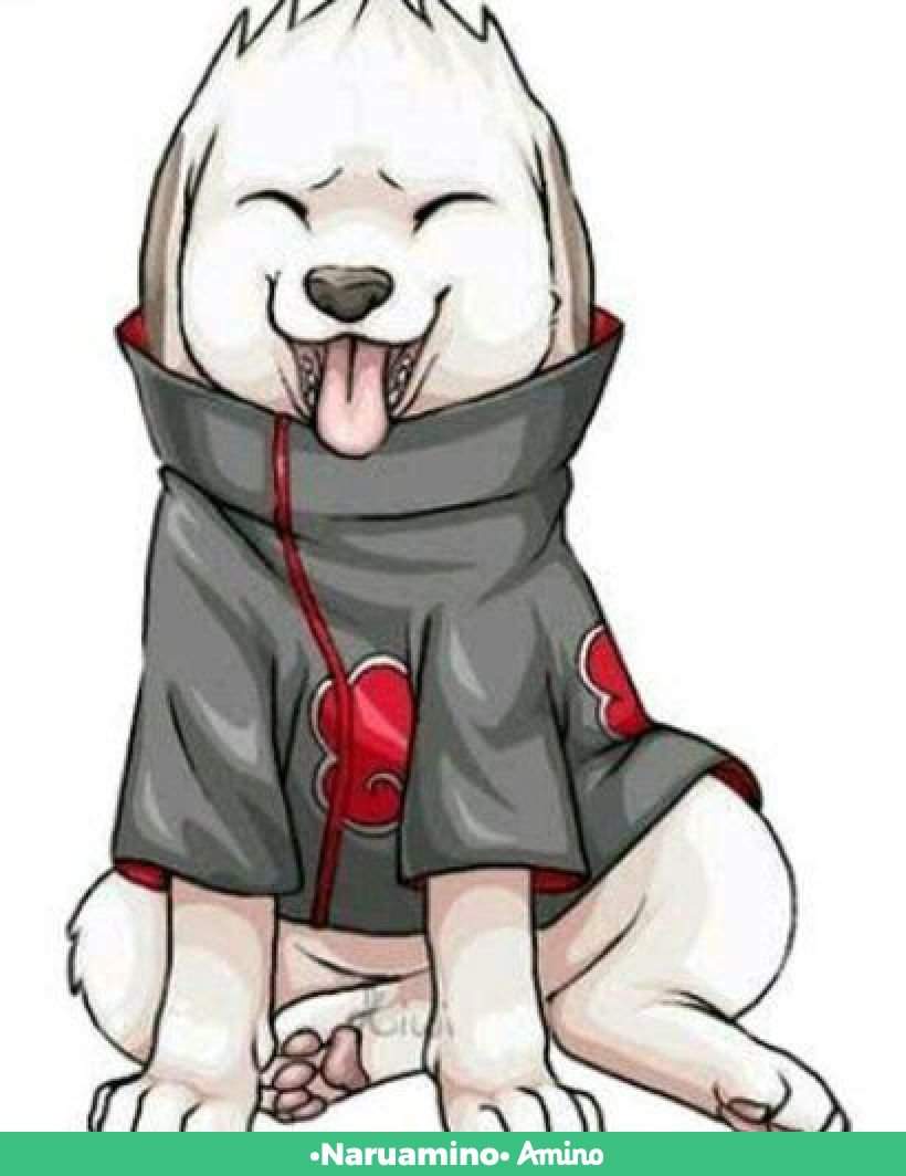 Akamaru Akatsuki Wiki Naruamino Amino