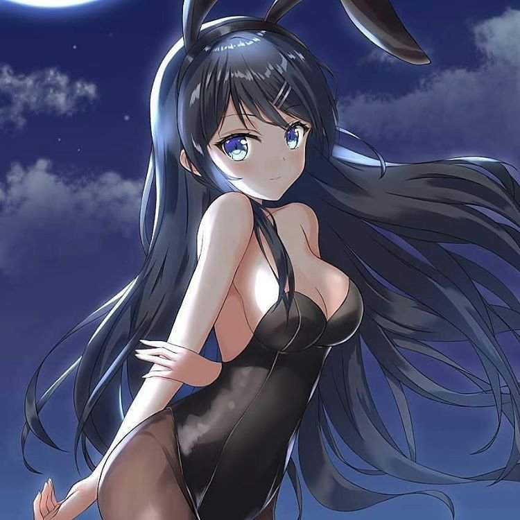 Hot 🔥 🔥 Or Not ❌ ❌ Mai-san Anime:- Bunny senpai Anime Amino.