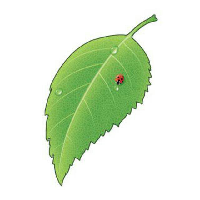 Общие Списки Персонажей | Wiki | 🍃Бесконечное Лето🍃 Amino