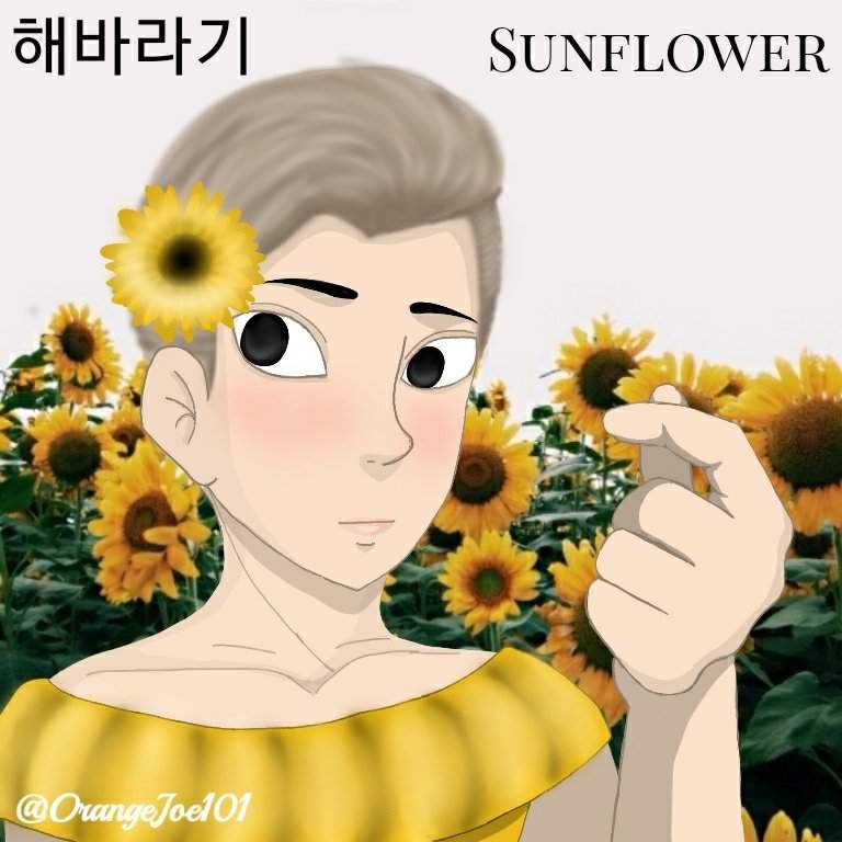 Sunflower 해바라기 Amino (MsP) Amino