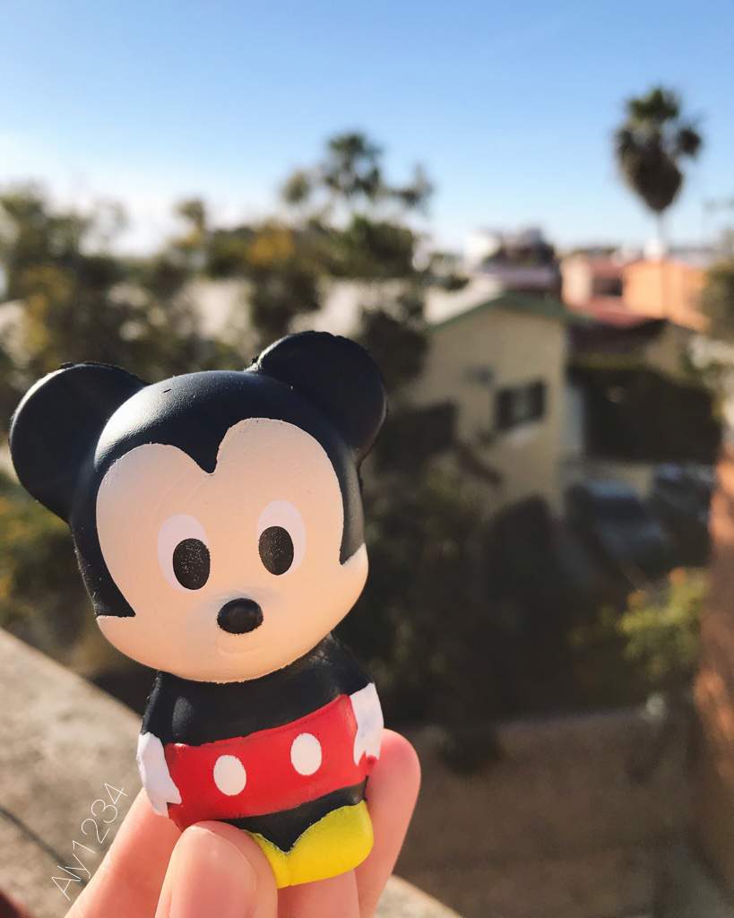 mickey mouse squishy toy