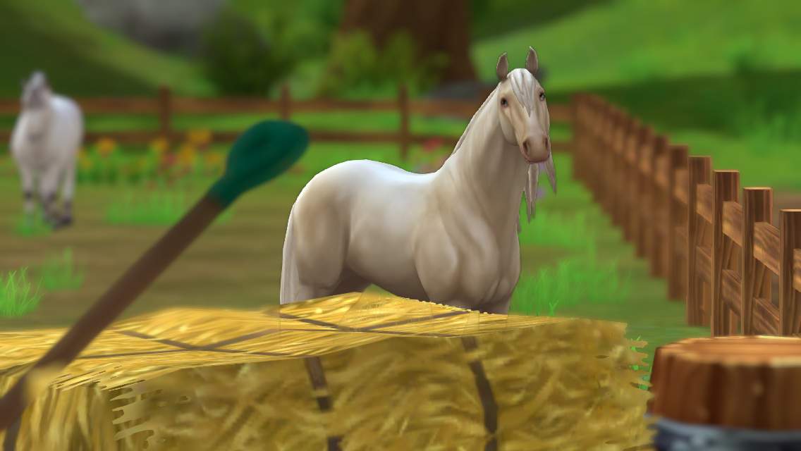 Simba | Wiki | Star Stable Online Amino