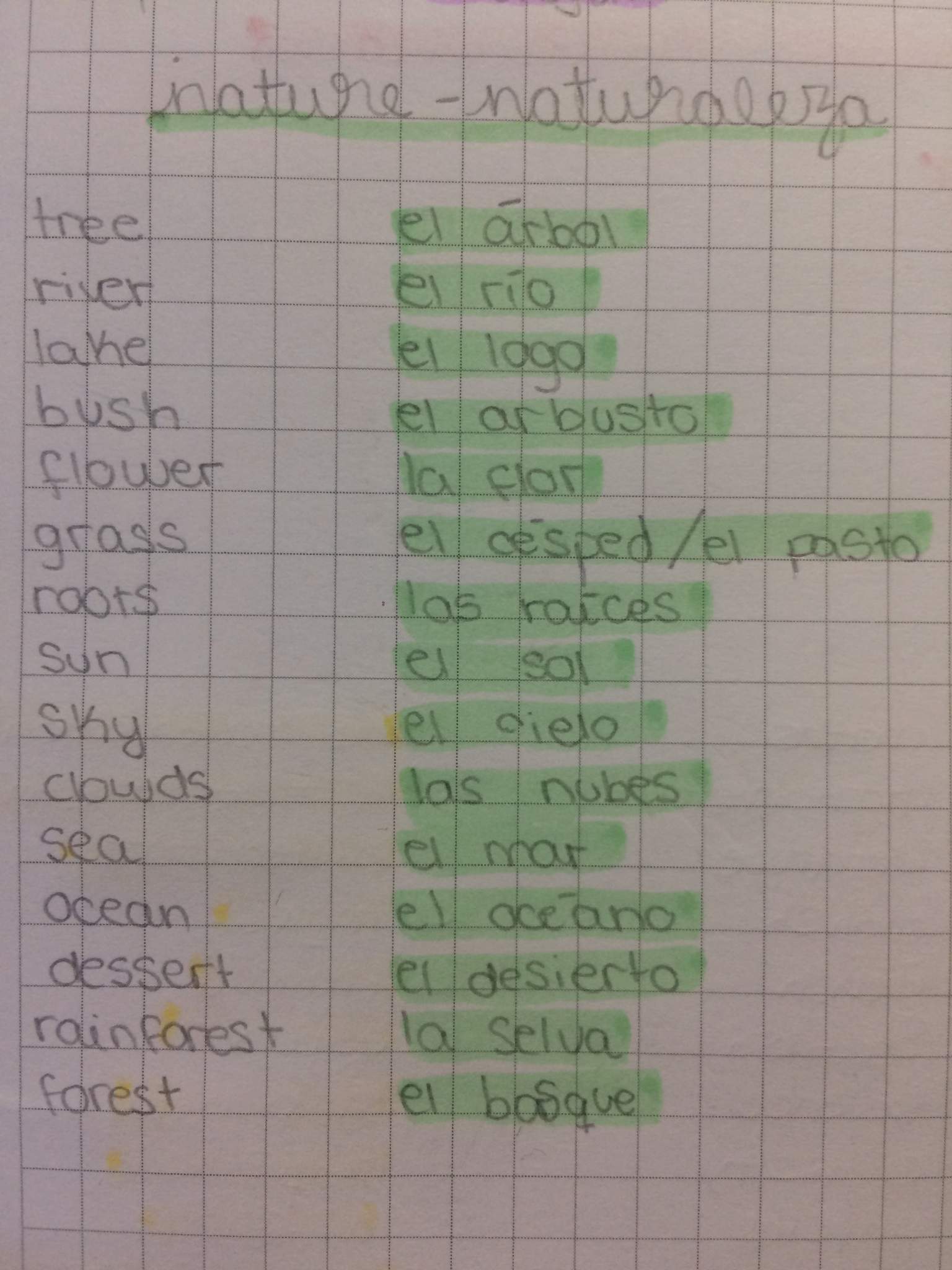 Una Larga Lista De Sustantivos | Spanish School. Amino