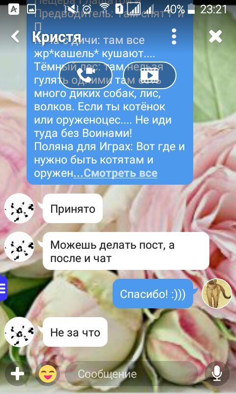 Племя _Небесное_ | Wiki | 🐈•°Коты - Воители°•🐈 Amino