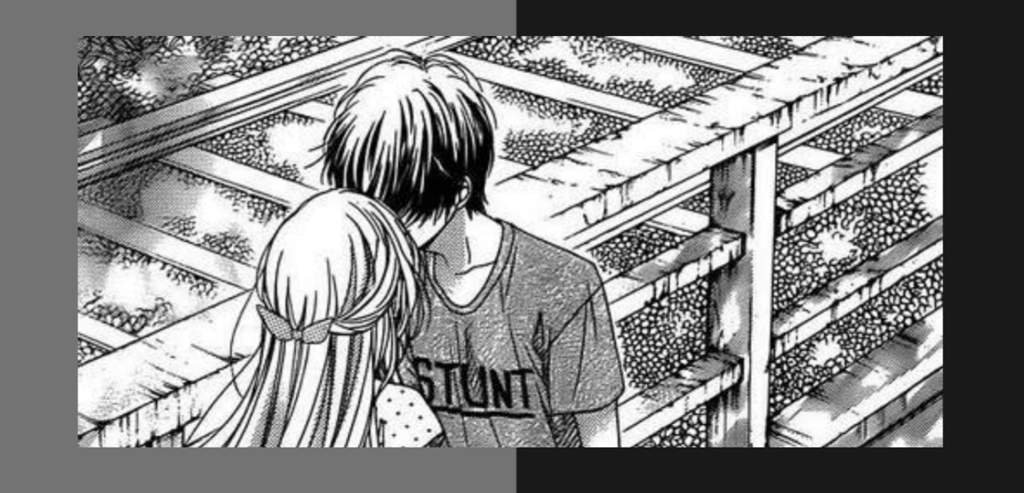 Mangás de romance • Algumas Otanix Amino
