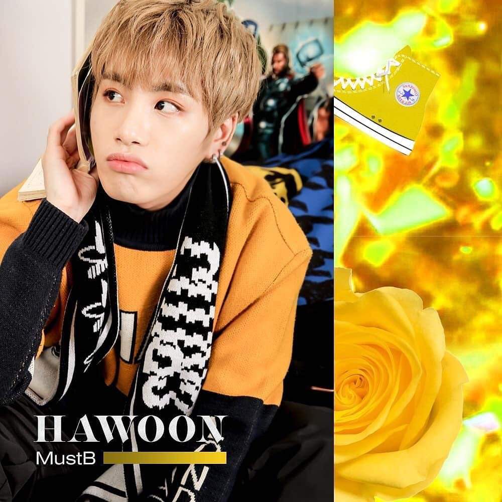 Hawoon | Wiki | MUSTB BR Amino