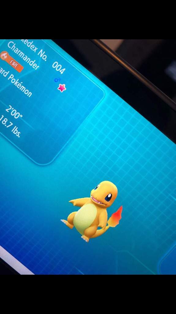 shiny-charmander-evolution-chart-100-perfect-iv-stats-and-best