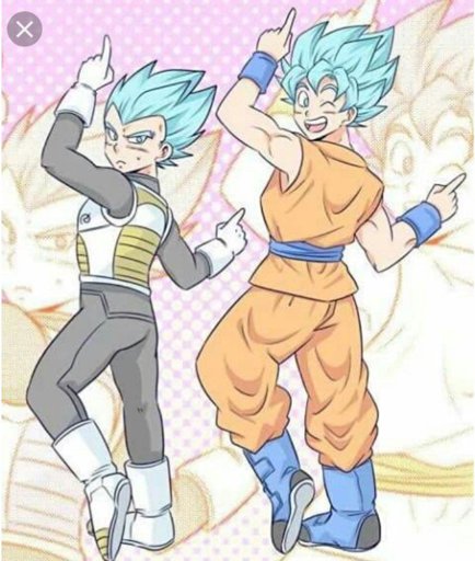 Goku and vegeta ships | Wiki | DragonBallZ Amino