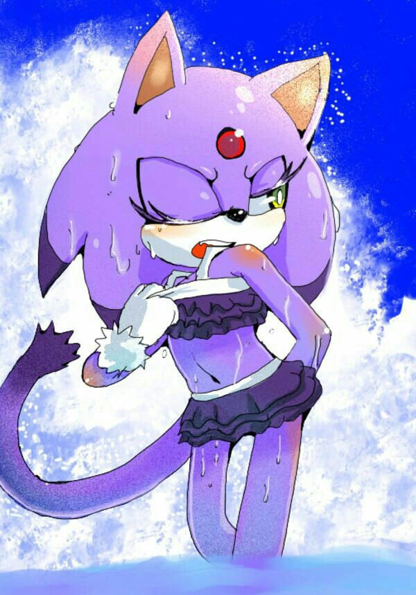 Blaze the cat Wiki Alluniversesinoneamino(SSF) Amino.