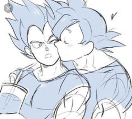 Goku And Vegeta Ships Wiki DragonBallZ Amino