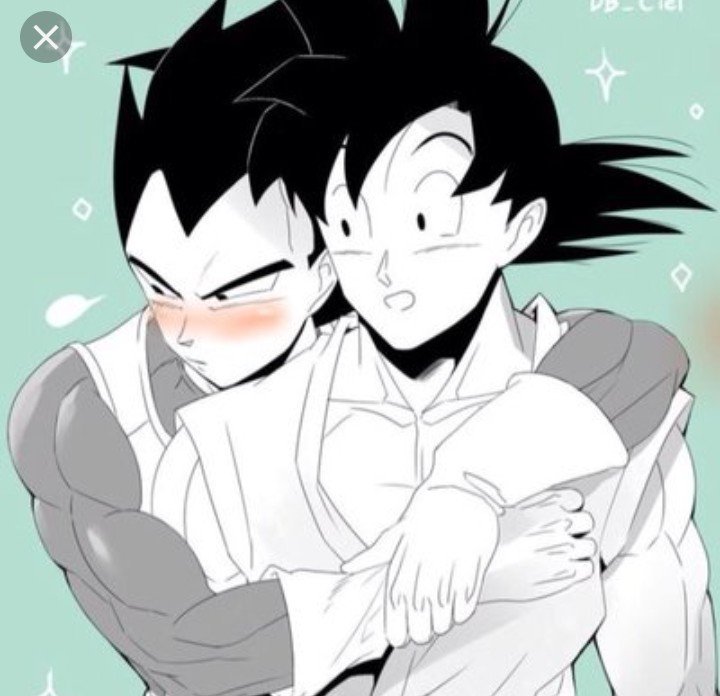 Goku And Vegeta Ships Wiki DragonBallZ Amino