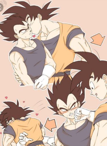 Goku And Vegeta Ships Wiki DragonBallZ Amino