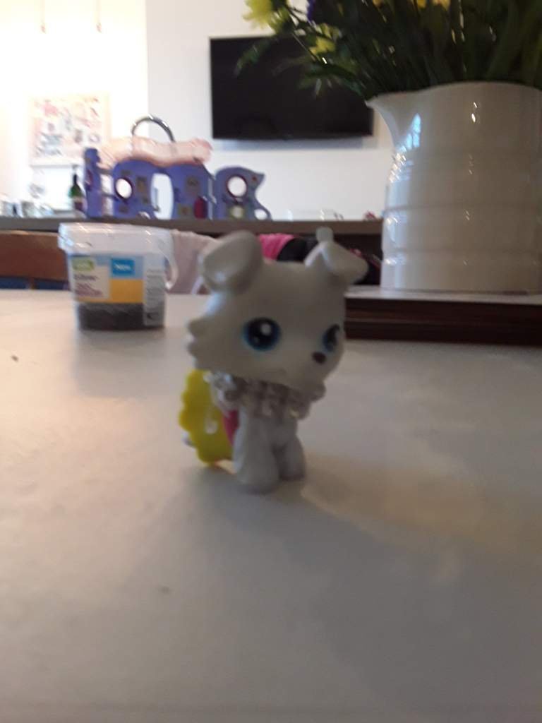 Ashley the colie | Wiki | LPS Amino