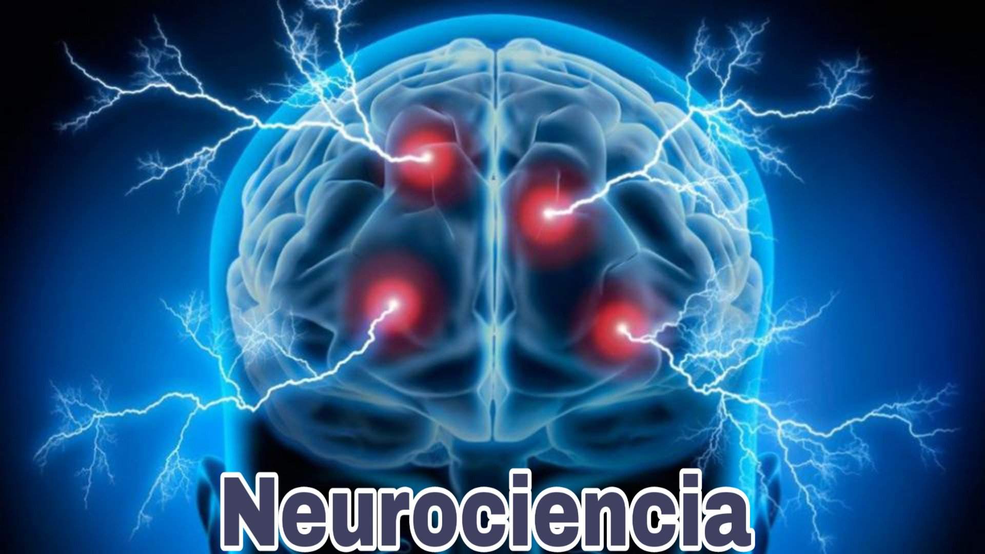 Neurociencia, El Estudio Del Cerebro Humano. | Psicología Amino. Amino