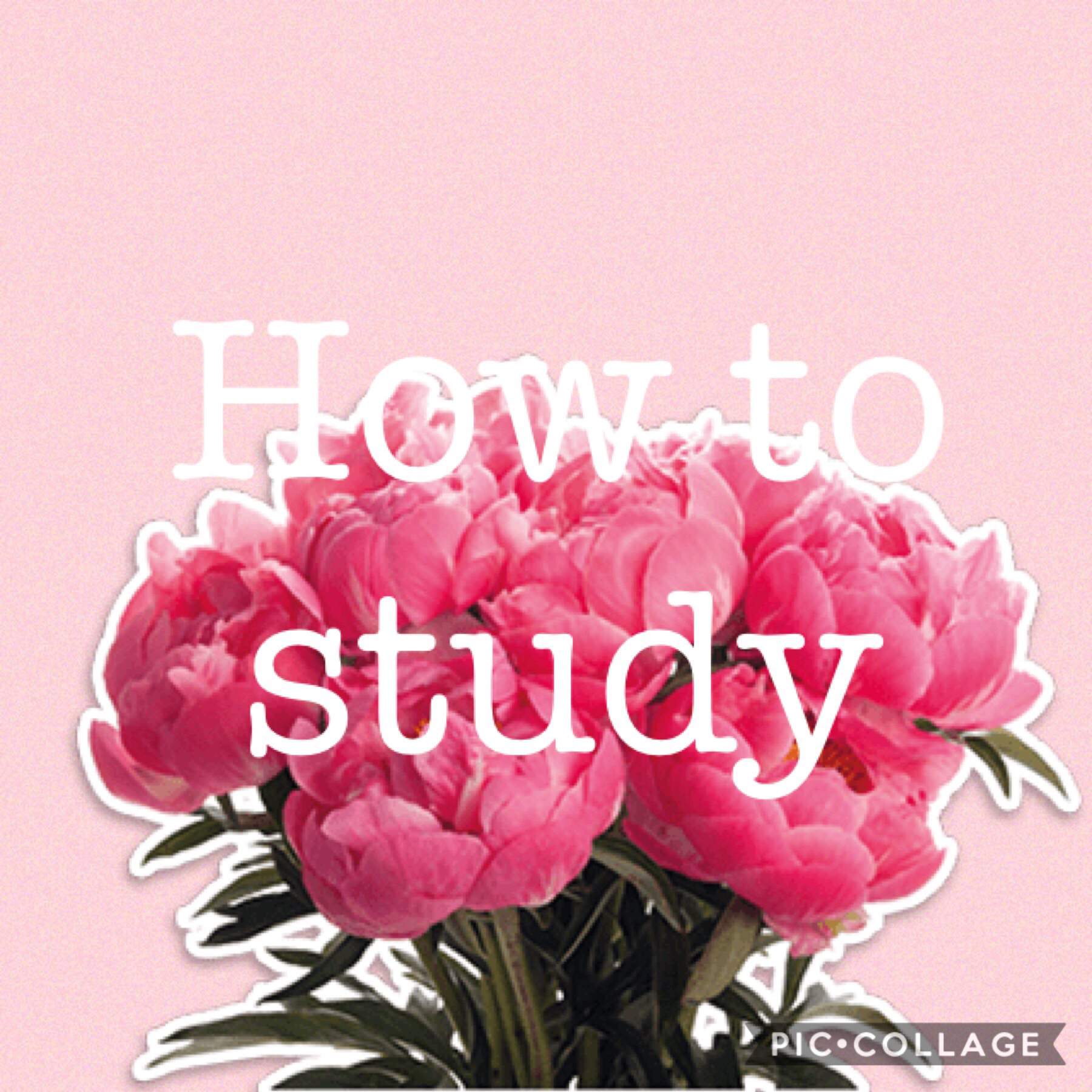 how-to-stay-focused-in-school-studying-amino-amino