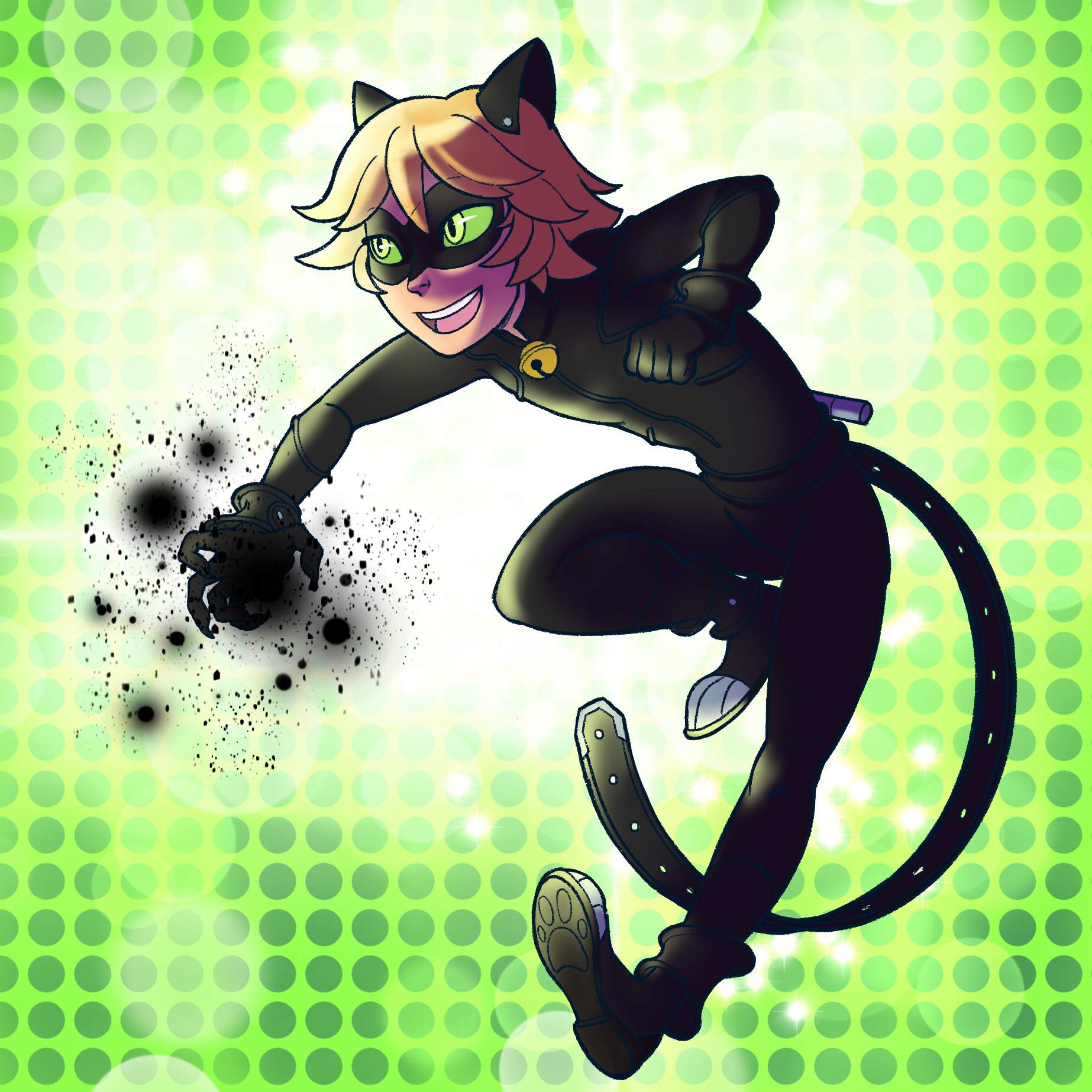 Miraculous Chat Noir Transformation Les Aventures De Ladybug Et Chat