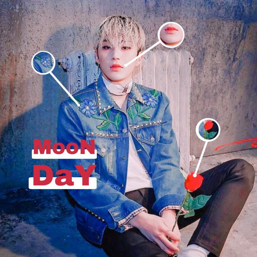 Moon Day ₊˚.༄ •Kpop• Amino