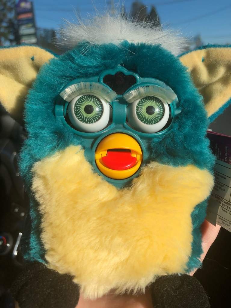 41+ Pip Mater Pics
