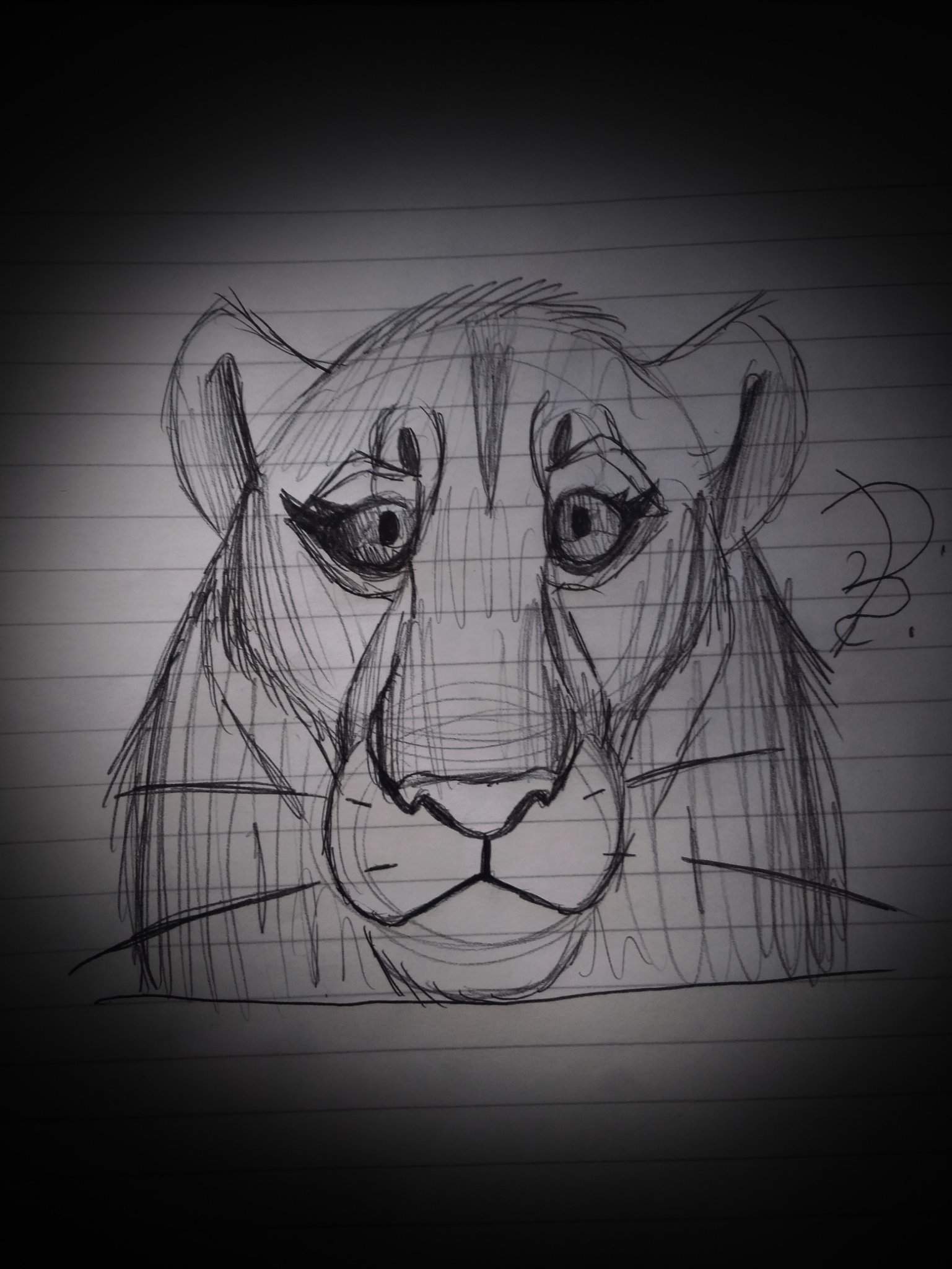 Random Lioness Sketch 