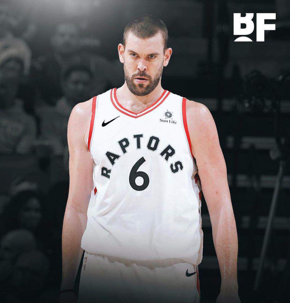 marc gasol raptors jersey