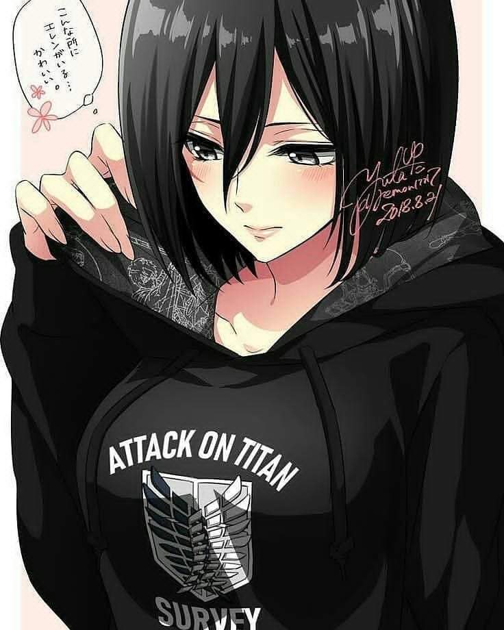 Cute ️ ️ Or Not Mikasa ️ Anime Amino