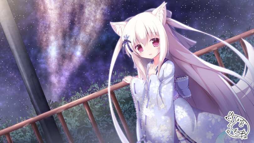 Anime neko wallpaper