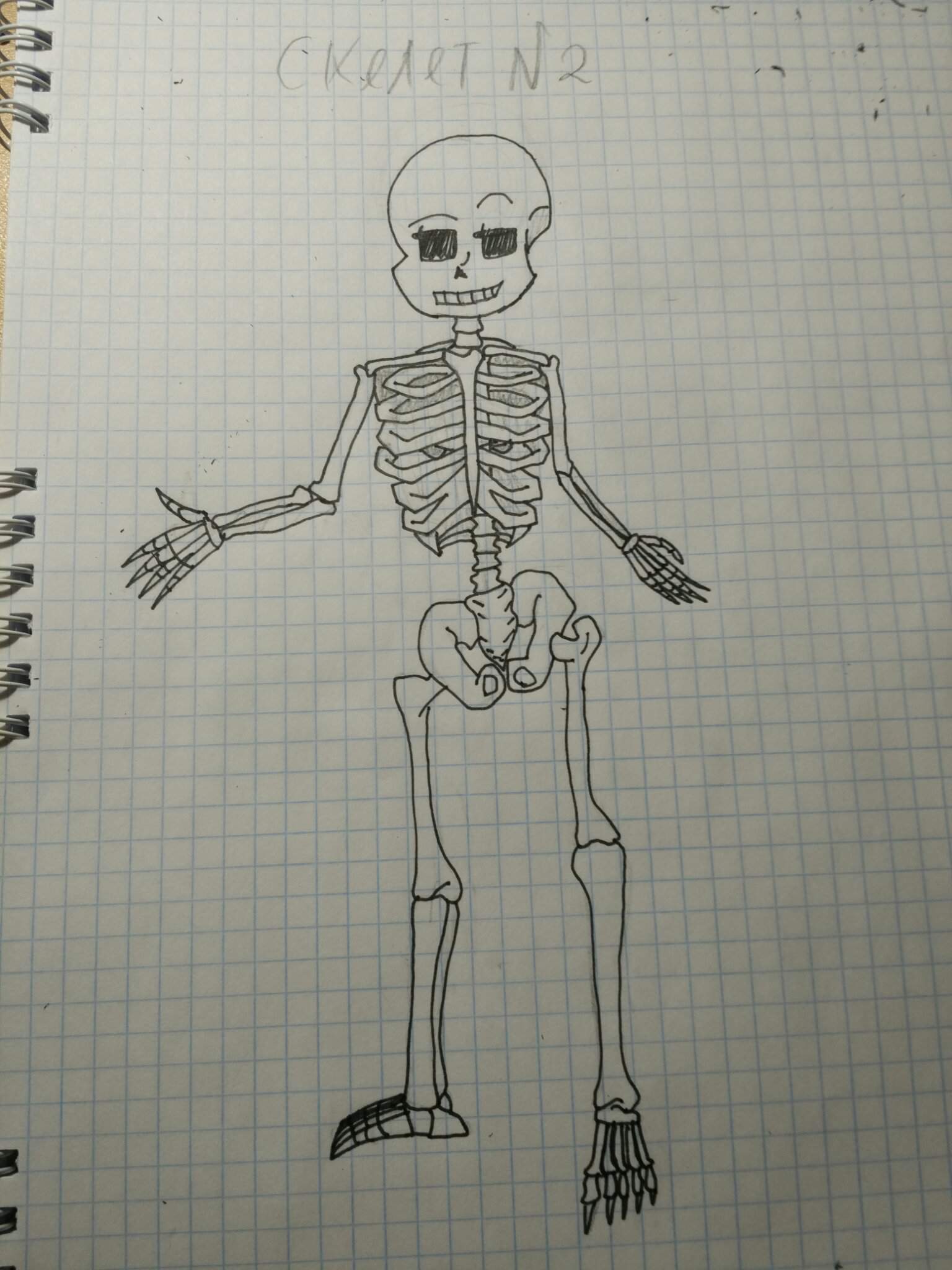 Скелет рисунок легкий