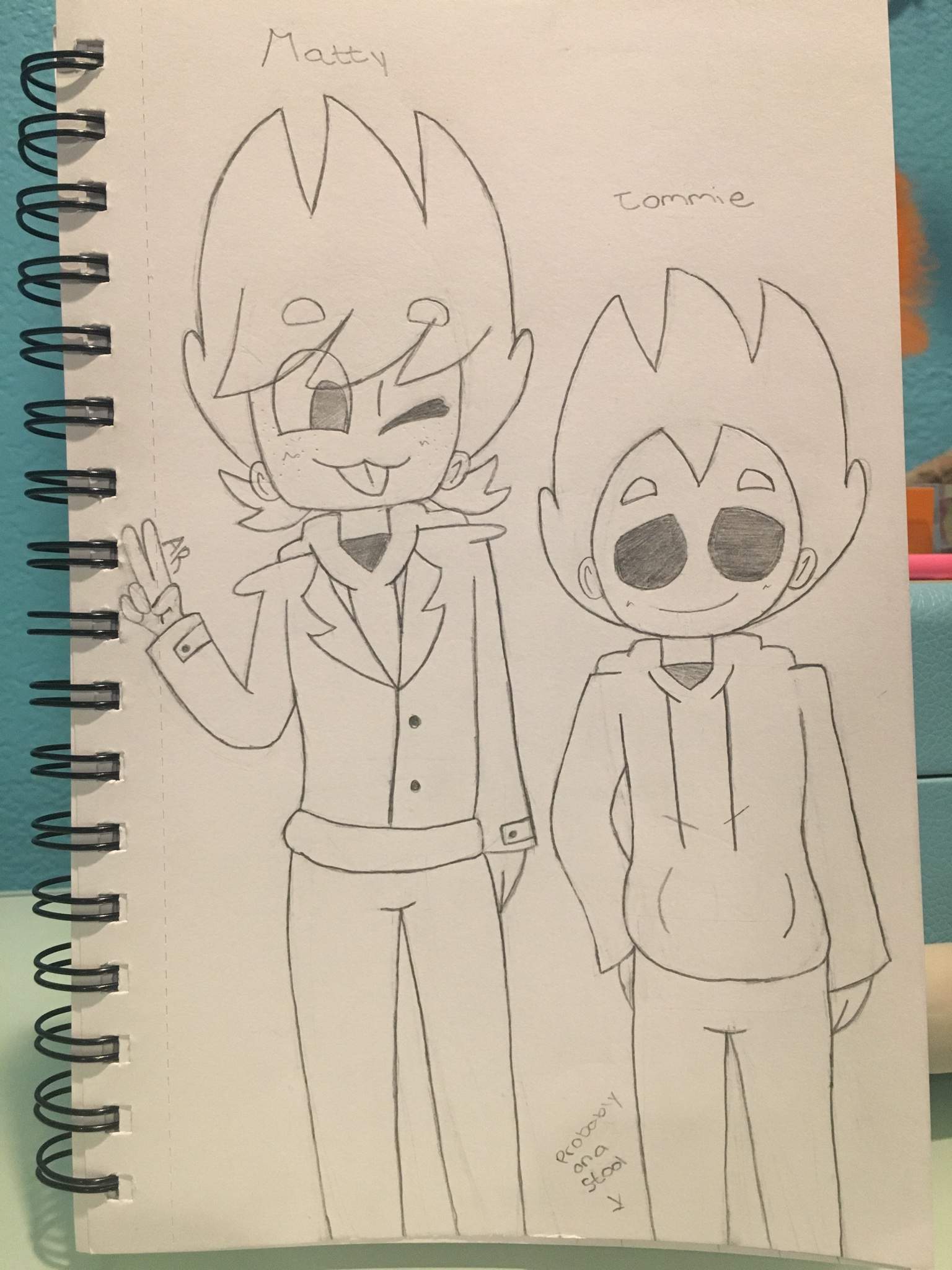 smol-and-skinny-boi-uwu-mattom-eddsworld-amino