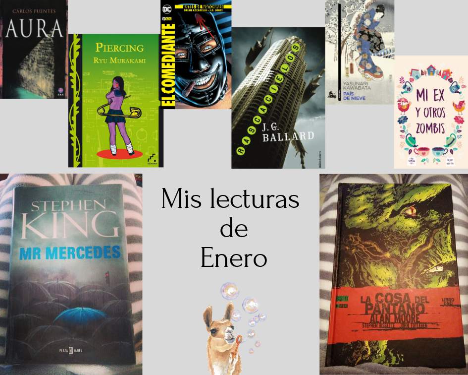 Mis lecturas del mes de Enero • Libros • Amino