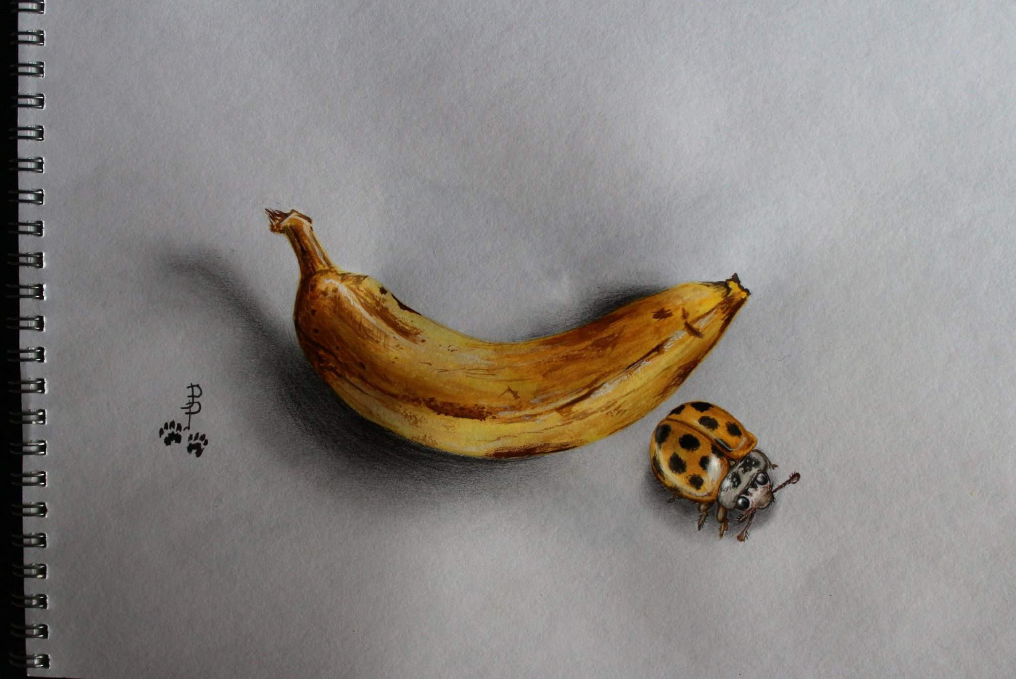 Этюд банана акварелью