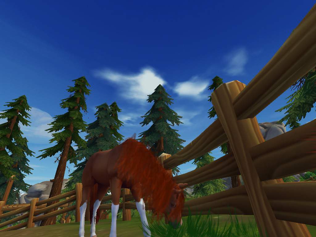 First Star Stable Edit Star Stable Online Amino