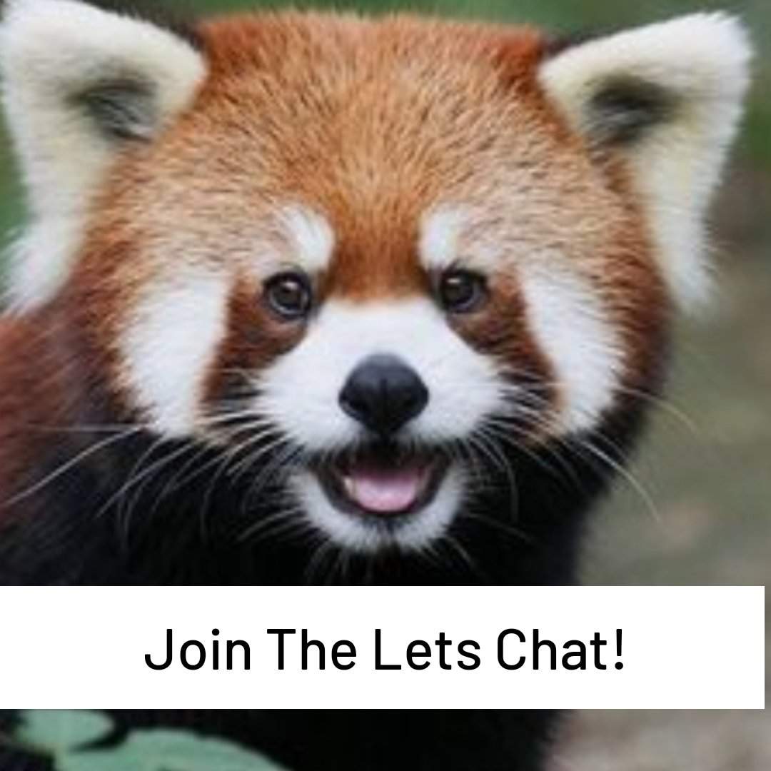 Join the Lets Chat, Chat room! - Wild Animals! Amino