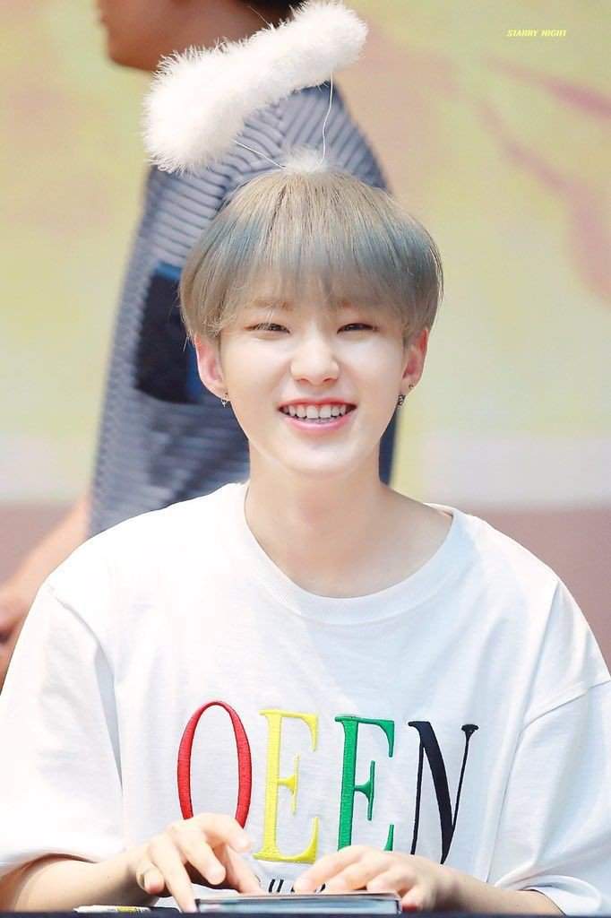 Hoshi Wiki Carat Amino