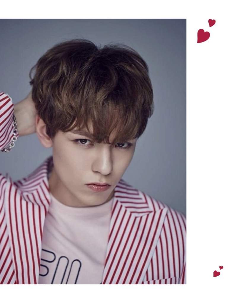 Happy Birthday Vernon 🎂 | K-POP Groups [FR] Amino