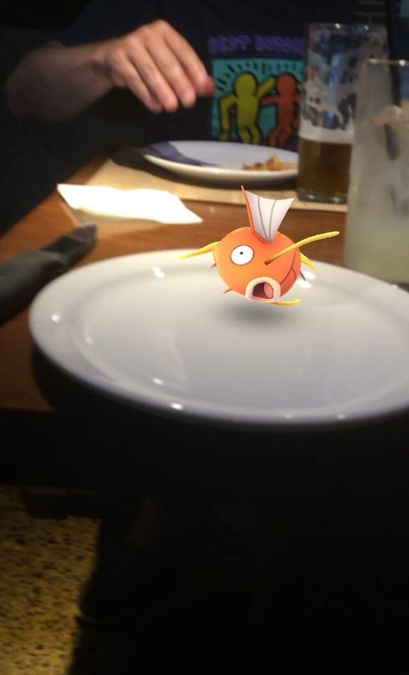 The natural habitat Pokemon GO Amino