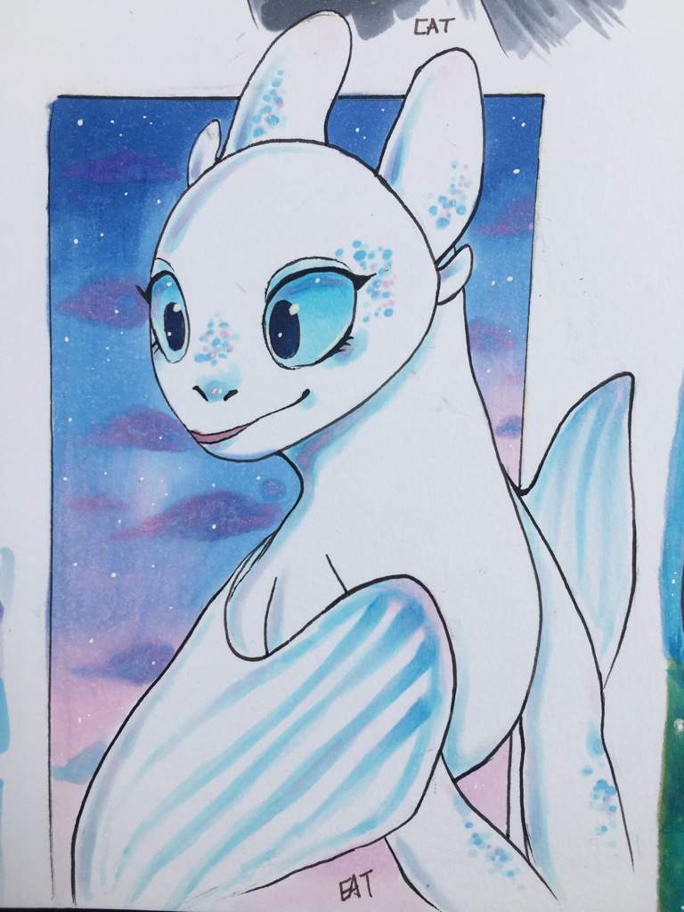 toothless and the lightfury