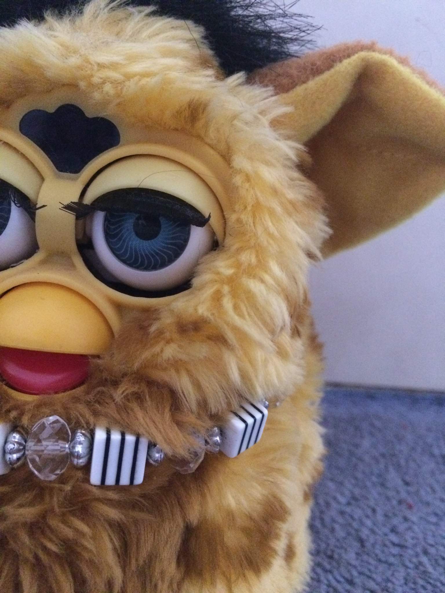 Anyone Have The Pictures Of All The Different Types Of Furbies Furby