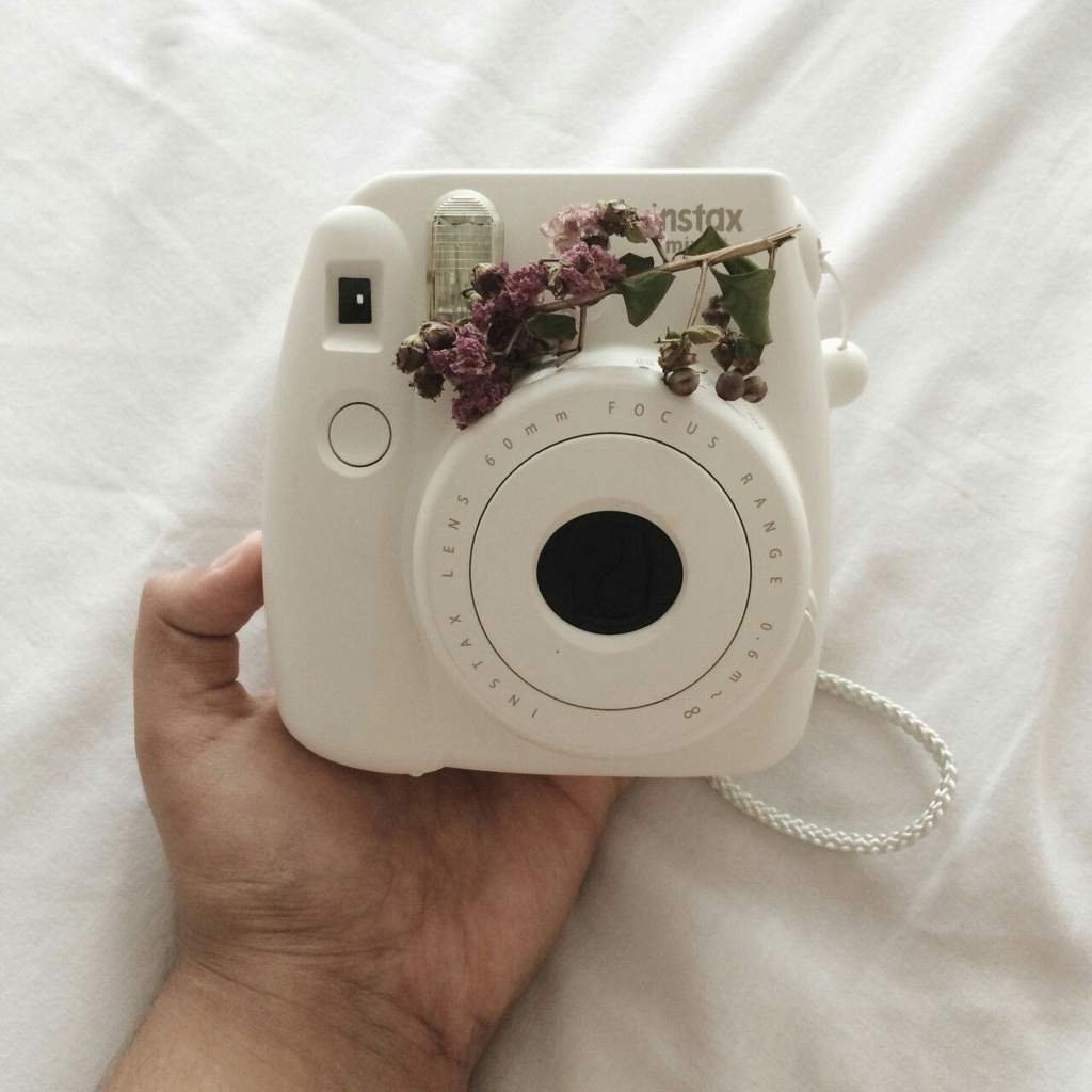 Aesthetic cameras aesthetics Amino