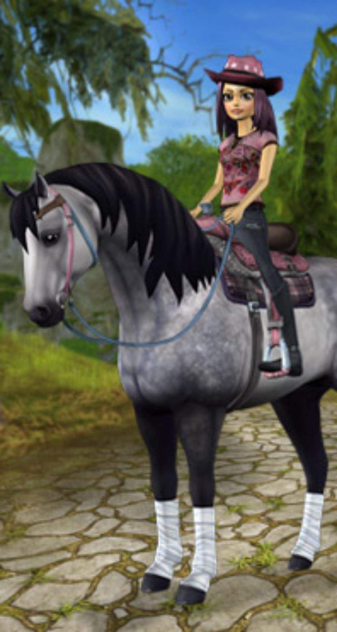 Sso Bild Wiki Star Stable Online Amino