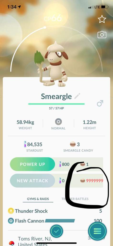 Why? Pokemon GO Amino