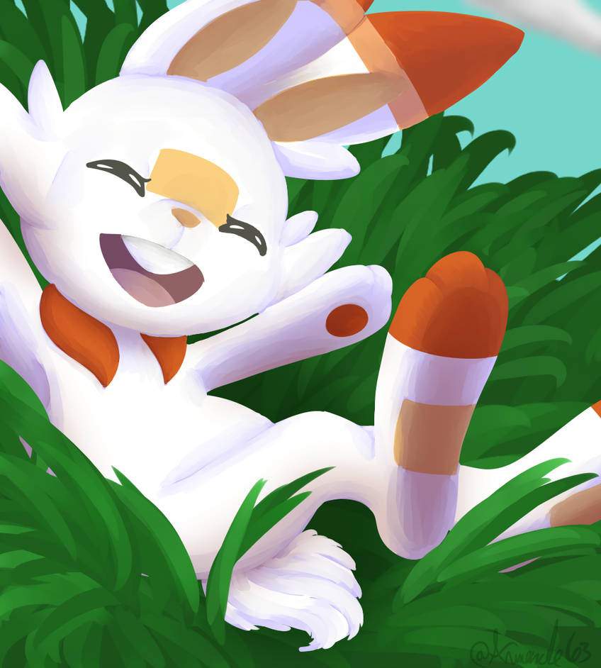 scorbunny pokemon center