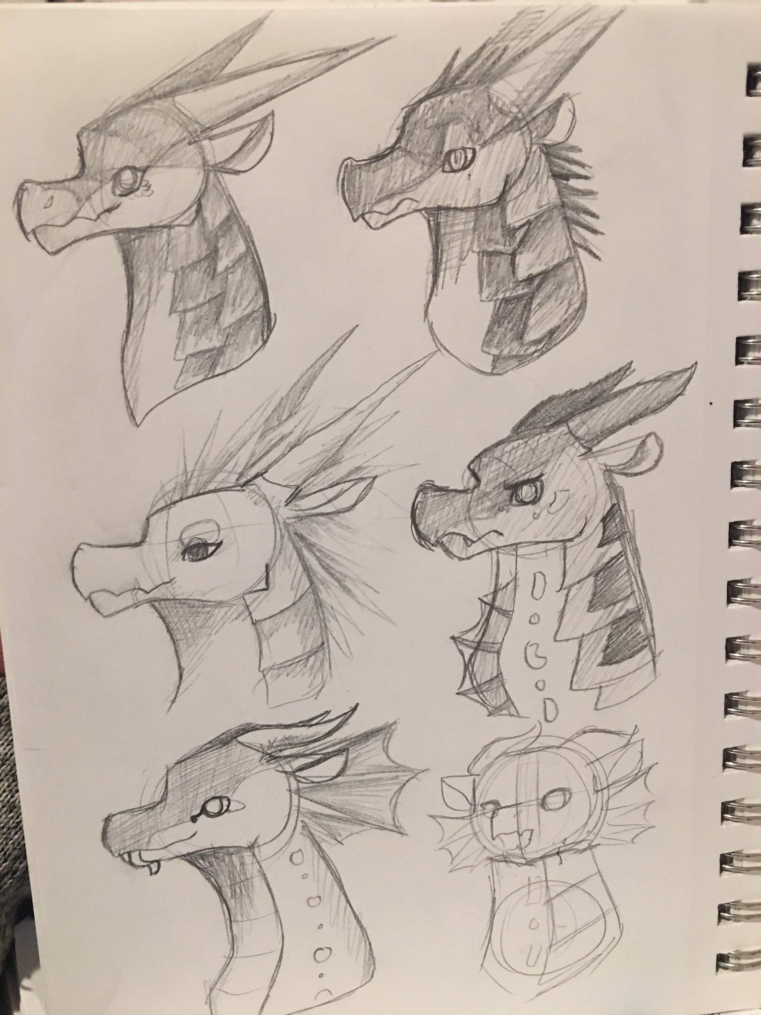 Erm Random Dragon Sketches Wings Of Fire Amino