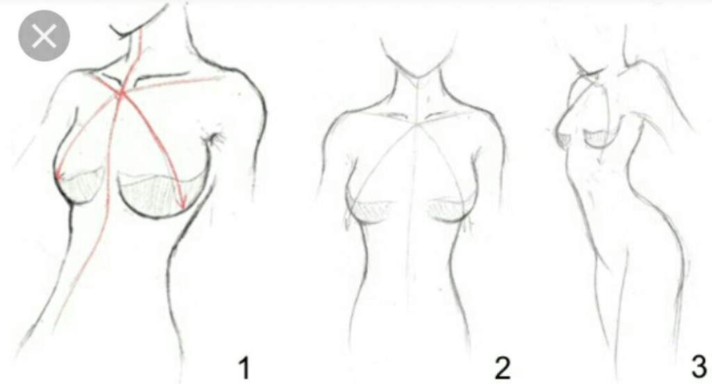 Как нарисовать грудь в одежде