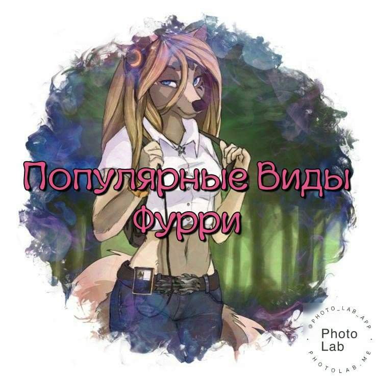 Популярные Виды Фурри | Furry WorldPaws [FWP] Amino