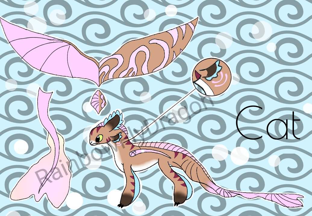 Tabby Axlotl Fury H T T Y D Amino