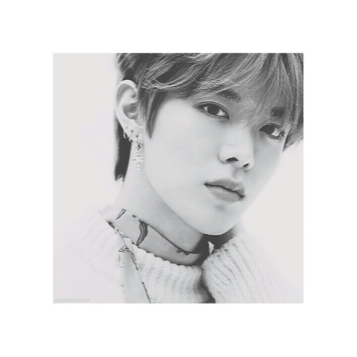 Yuta Wiki Nct Amino Amino